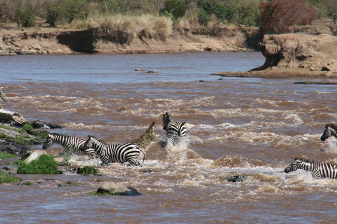 Africa River