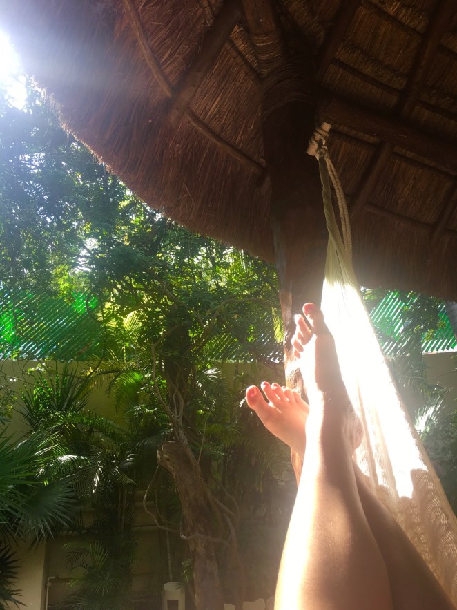 4DE9D9DD-CA3E-43E9-9FC3-F4C0048FAD59