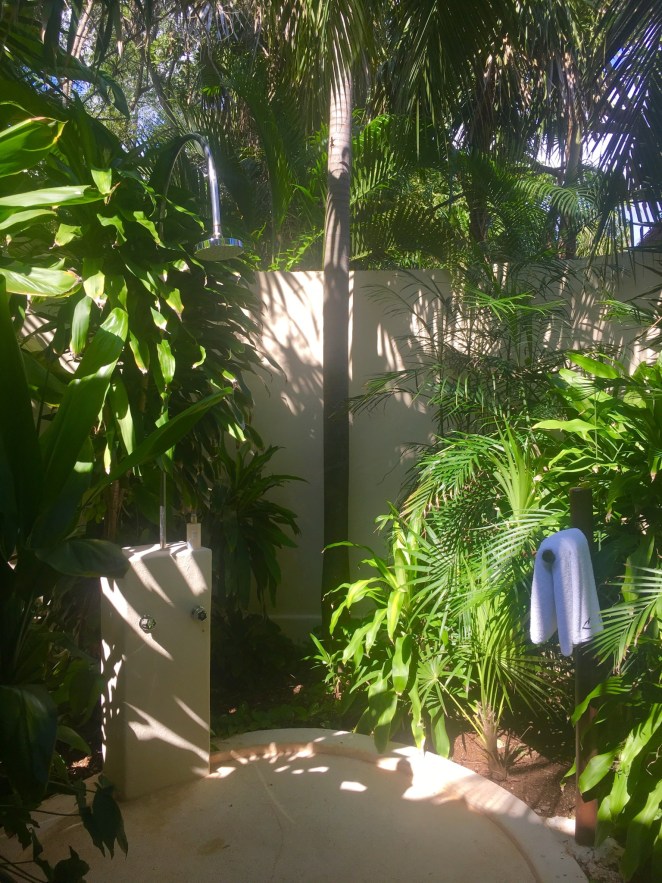 4FBA1502-D6E6-4681-8FE4-F76DC8EE7708