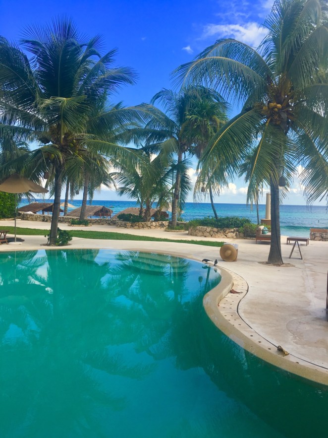 5DA4D2CD-500B-473E-8144-523EE5B184AB