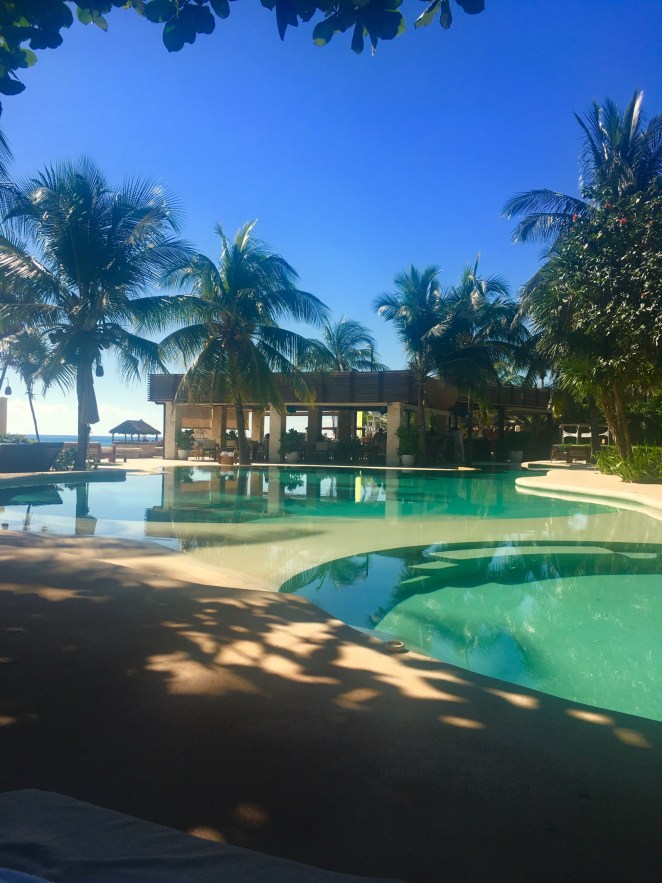 5EC9EED0-8029-4EC9-B778-19EC8BD8EB40