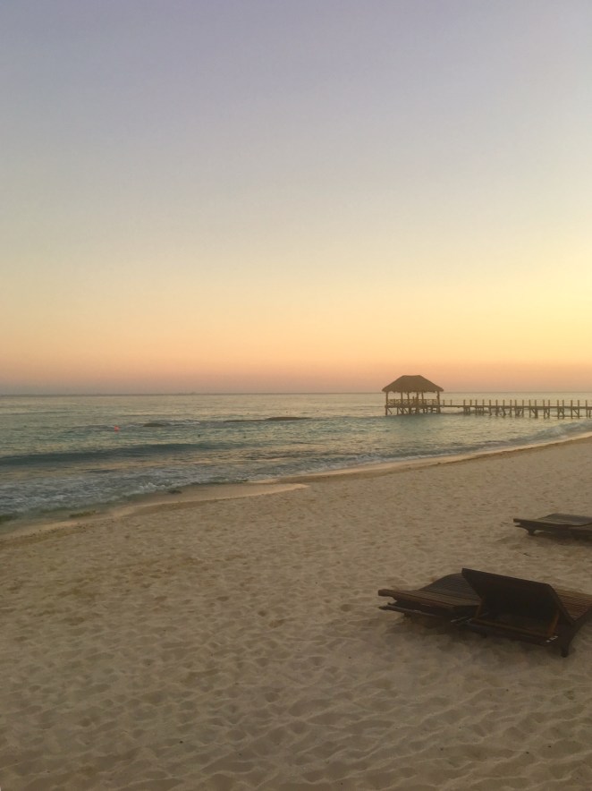 856AD600-BB3A-4032-B04A-4D950E8124AD