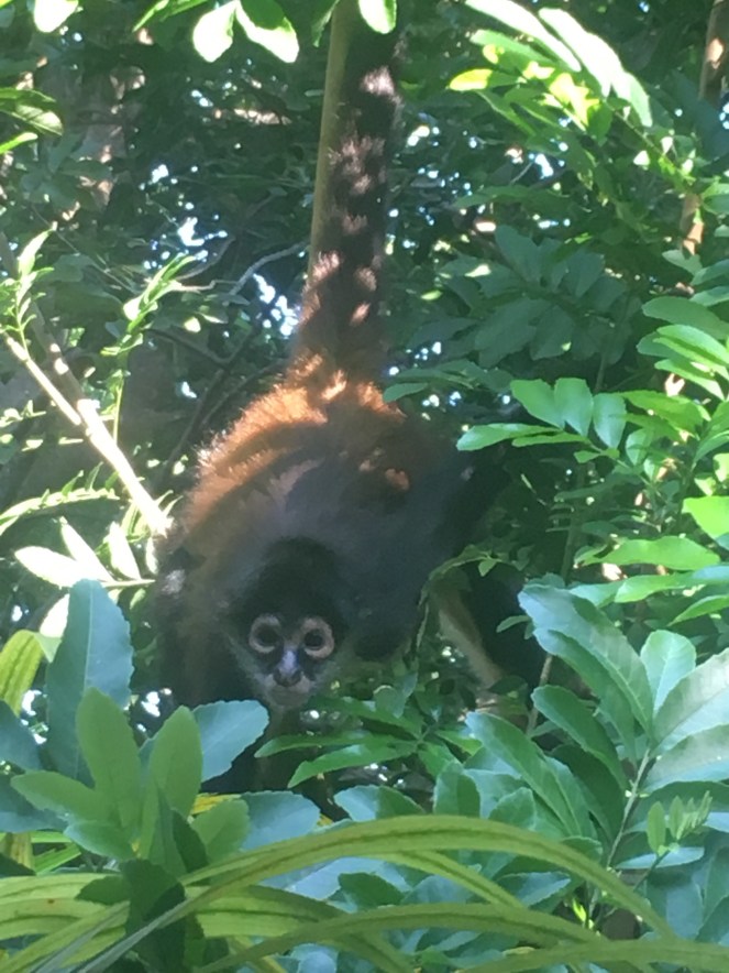 A15A837A-2D1B-4136-8B49-E09A3EE6DBA6