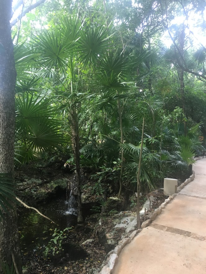 C0971908-0063-4818-B76A-06570B0BBC7B