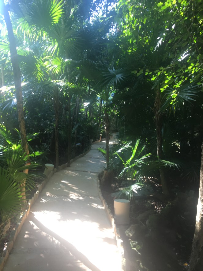 F3CFF443-73B8-4FFB-8CA9-CBA1B3F585EA