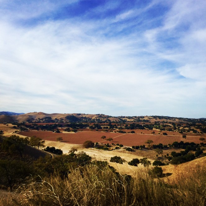 6AA4BDF7-E727-4263-A613-D0D10FCAA50A