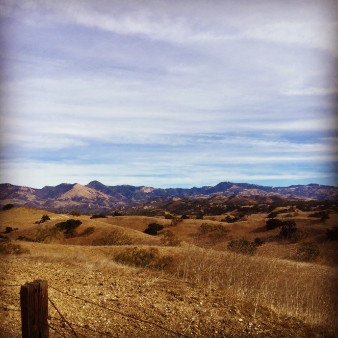 78ADBFB0-65D8-4C57-A2A4-2A7259056E05