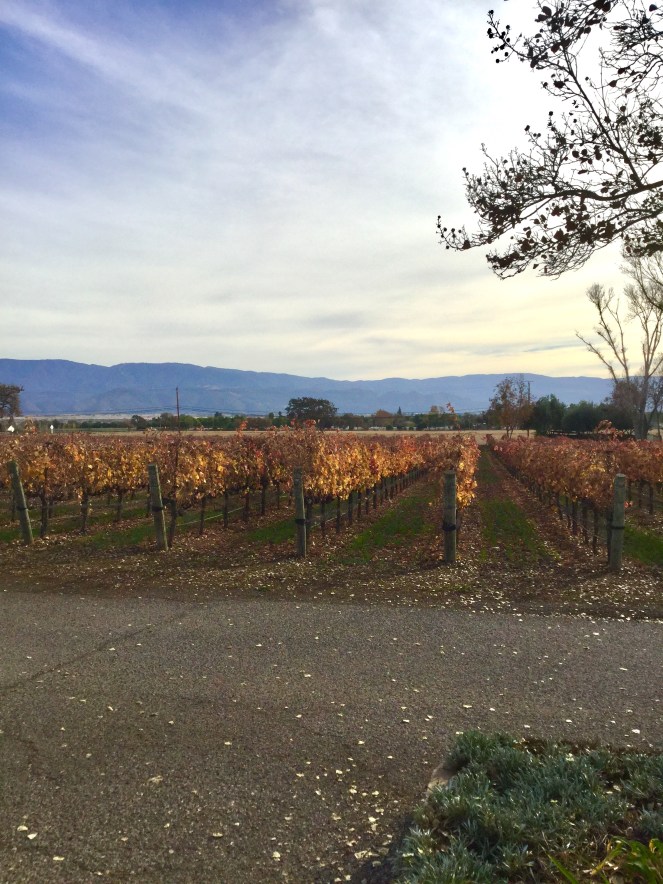 B59C7C7D-E377-49B7-A7A1-277B7A1D8742