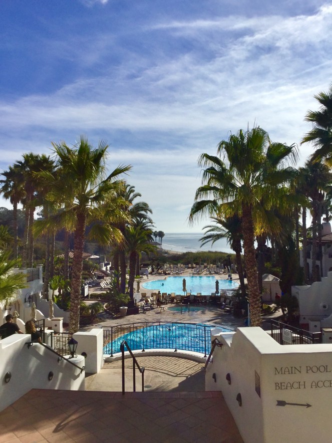 C2358433-2787-45D2-99C2-3F5CBD7FEFB3