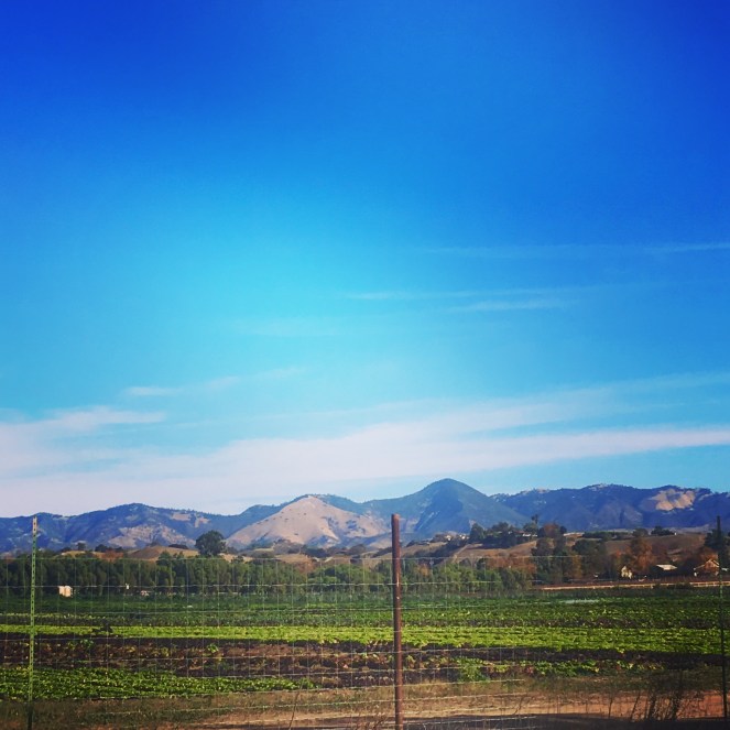 C9DA0F4E-AF99-4247-B7BD-BC72B6D6E665