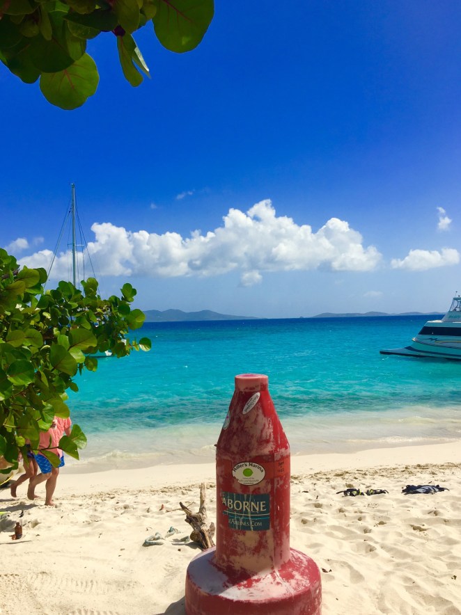 2F8DE0CE-7296-44CA-AE2B-01C19813F8CC