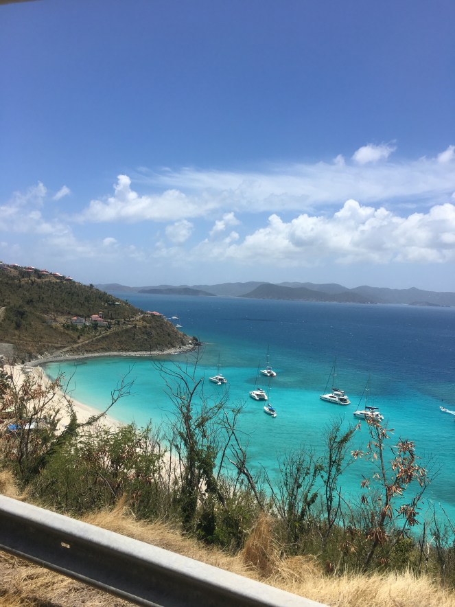 42F3BBA5-BF7D-4FE4-A26F-CDDD7B2ED96C