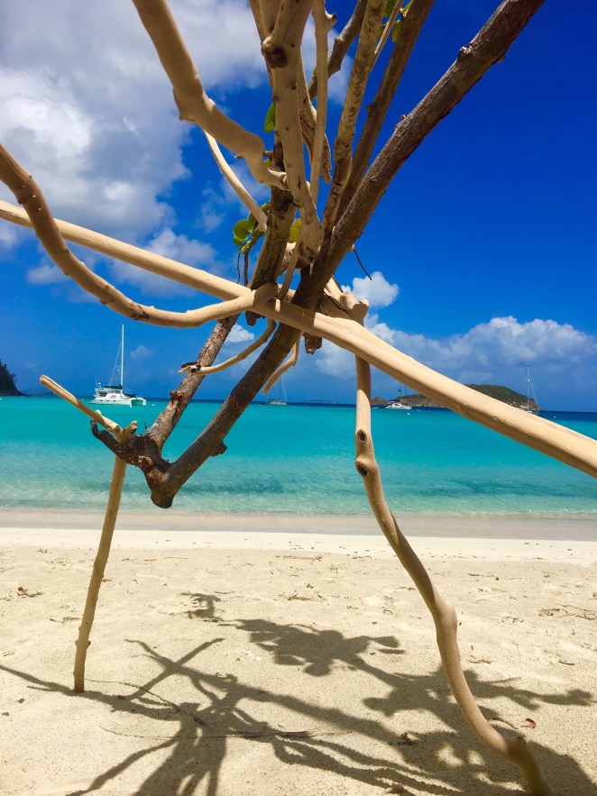 B34B8050-1B84-452A-A29B-3767E365519A