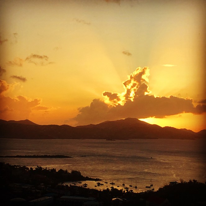 DAAF84EE-5AA0-46A9-9D03-60F519DC6D29