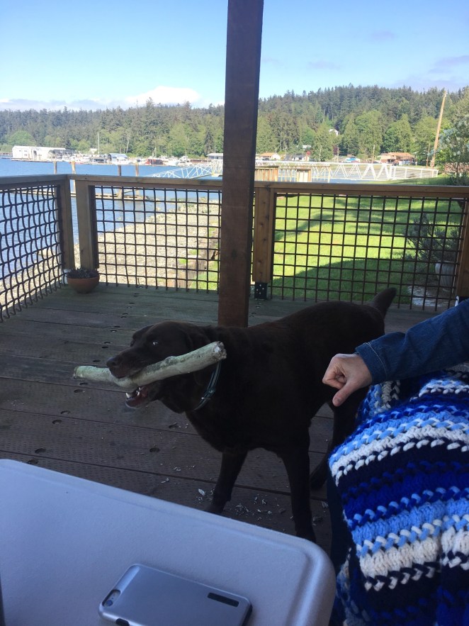 13125A63-8749-401B-9EC6-7FA8C9358616