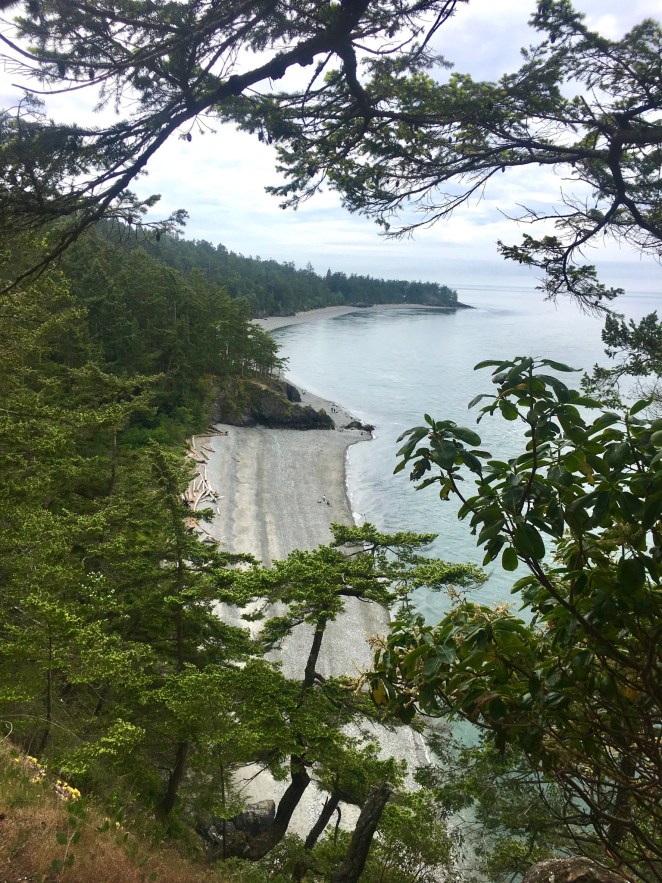 64C9D8AE-05EA-4EDD-91C2-29079DF953E5