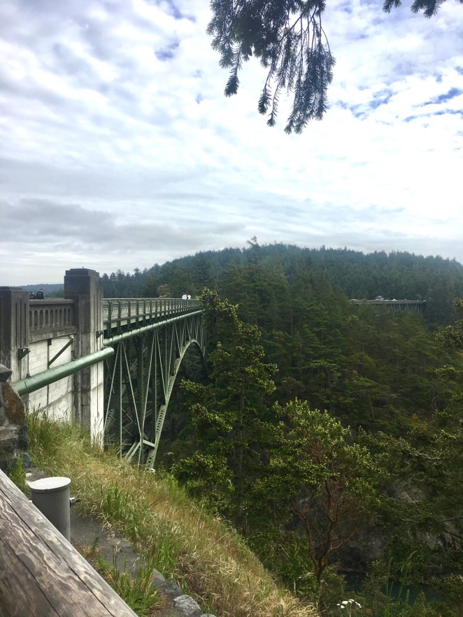 DD7AD24A-CC3D-4CC3-A066-48CFA53EFDB1