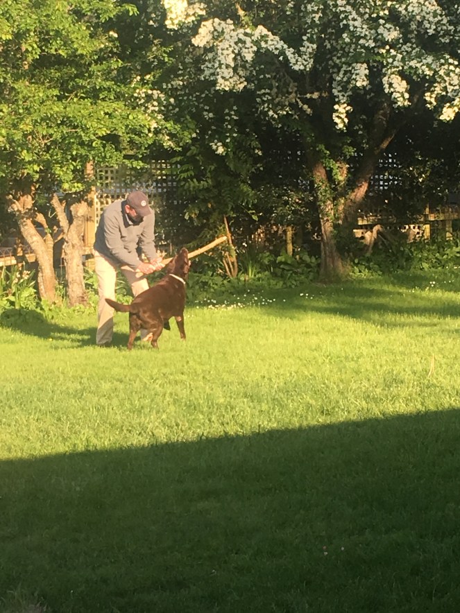 F0780150-6593-4EF3-9430-E042B9FC2FD9