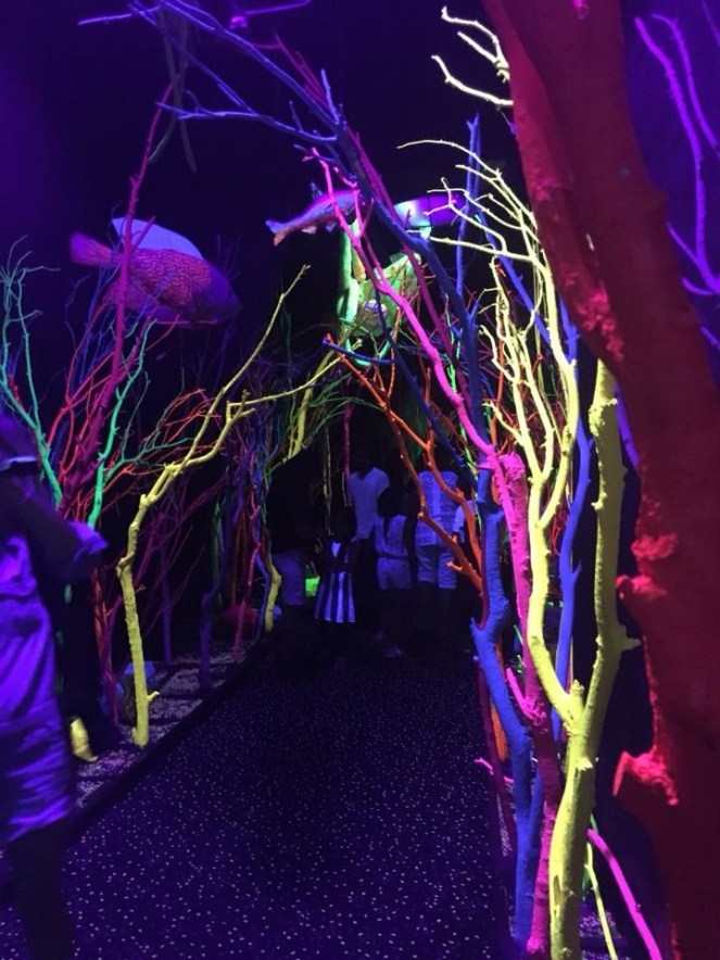 0B31491D-14E2-4F23-8C69-83FD4EDC96AC