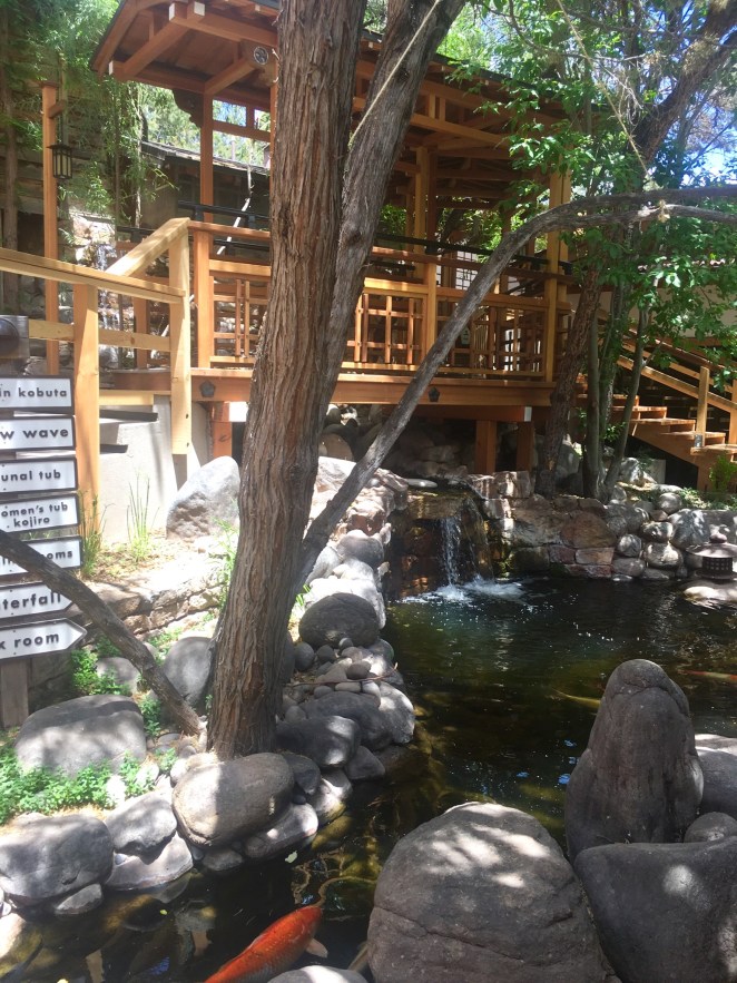 232DE184-6FBE-4D5C-B3D9-1E9328CD5A01