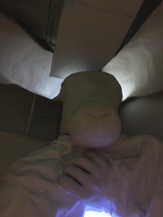 9B315F40-6763-4C80-A7AE-B0CFAD8E3046