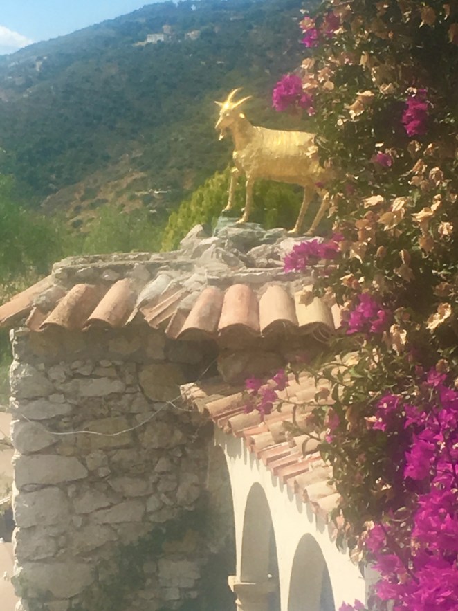 12E8FF41-D2A5-4D89-8615-579603EE307A