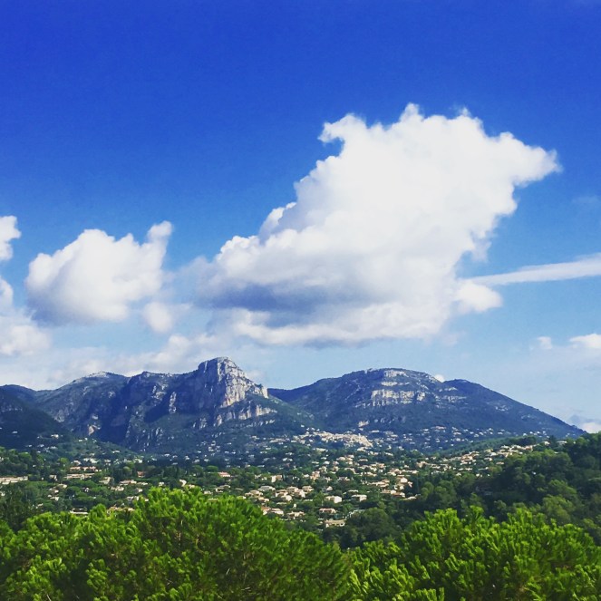 65F18B6E-0849-4224-8E31-98E7B945B34B