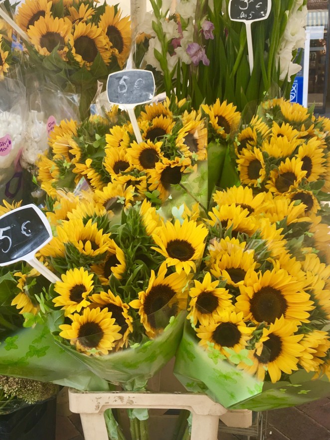 C003DDE4-51F4-448D-90F3-3FDD92E1A47F