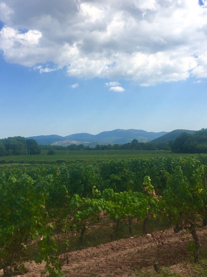 FB972C5A-7C81-4E63-8AC4-D349441DEF63