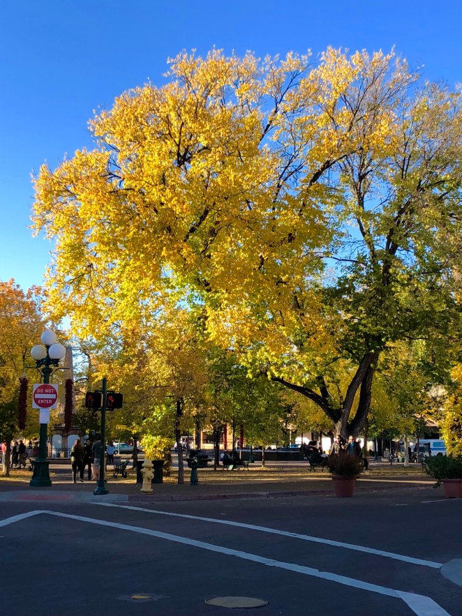 07F504AC-682F-44D1-AE28-16E5986DD4BD