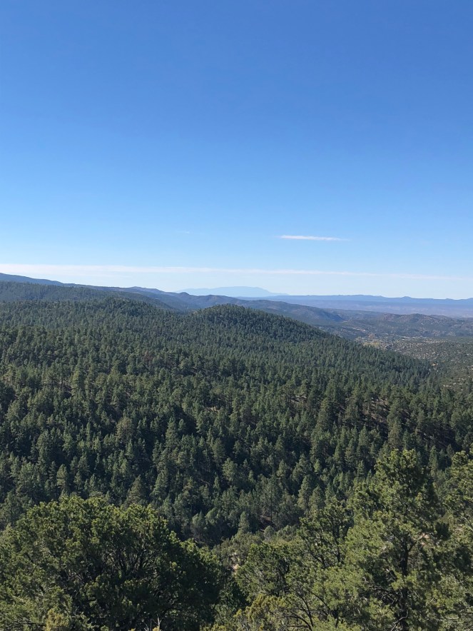 3C69ACC1-3F2C-4046-B614-735DCC07AD48