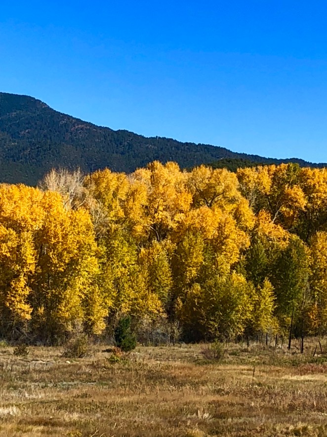 AF9C5B9B-A744-49CB-A2F3-EB7FE3D217B7