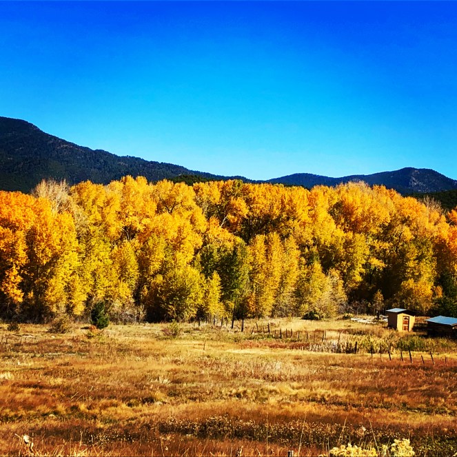 D4978856-AFC3-4E28-ACF2-58C920088A5D