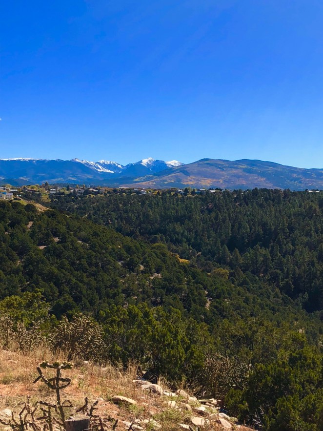 DC25D107-BFBB-4FA5-A77E-FF9BA036E941