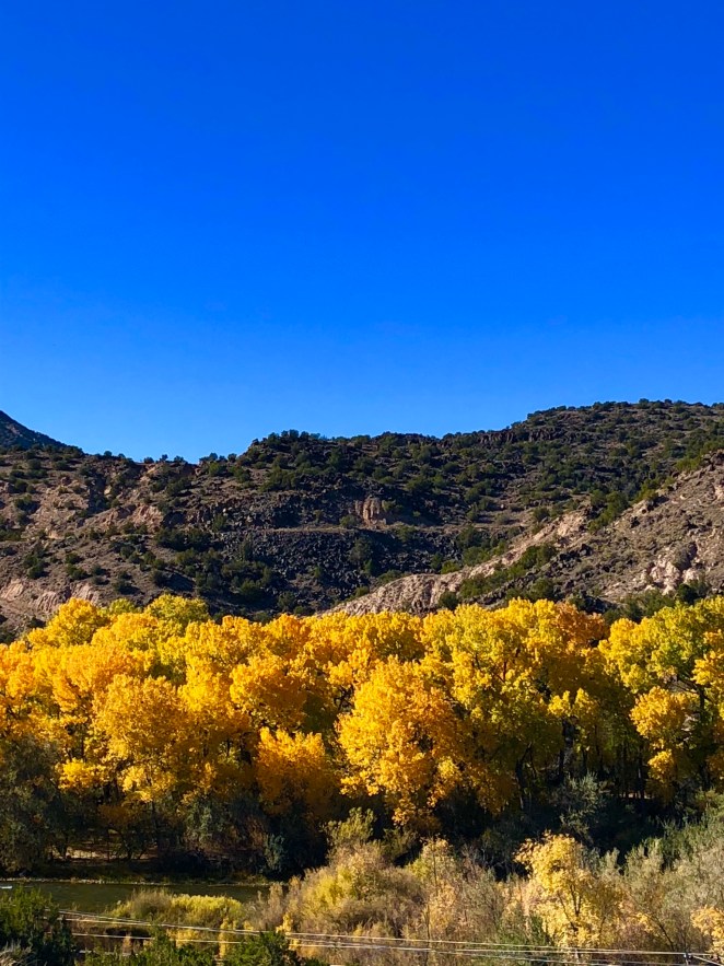 E11B78CA-FB10-4425-9597-84F2293C7EB6