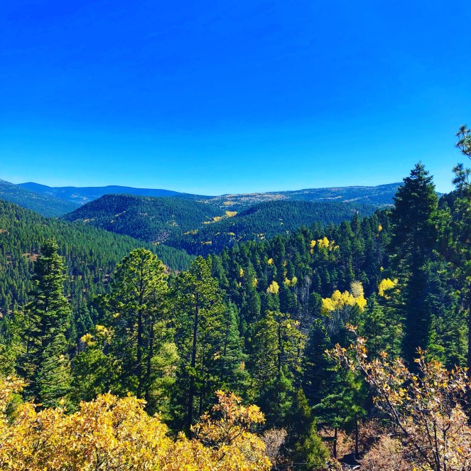 EE3F5ADF-C137-4246-A1C5-6D4558E90BBD