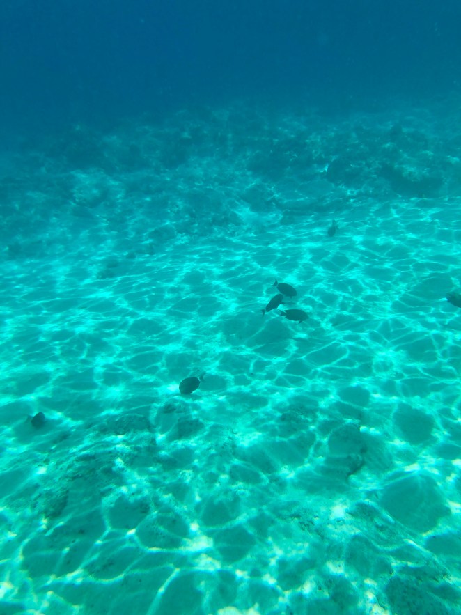 1FE8EFB4-89F0-4588-A1F0-B949538203FE