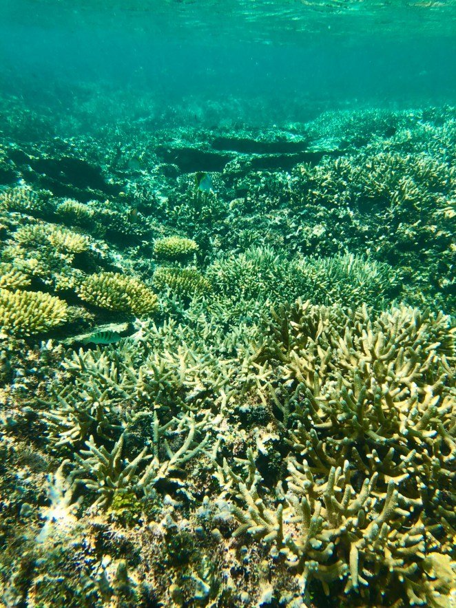 29D2D0D8-C500-4E2F-8DBB-ACB4FC12AF6A