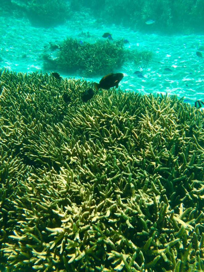 4B4352B8-8E88-4E17-B786-F78EEA527A32