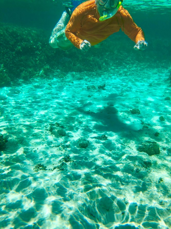 5A6FC7B6-EFBB-49AB-84A1-CF70C8064FE5