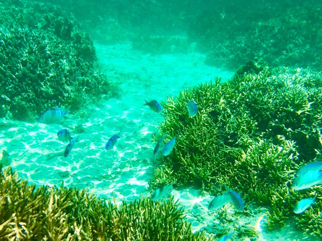 79FD2B92-02DA-4AF8-955C-D8ADD64B62F9