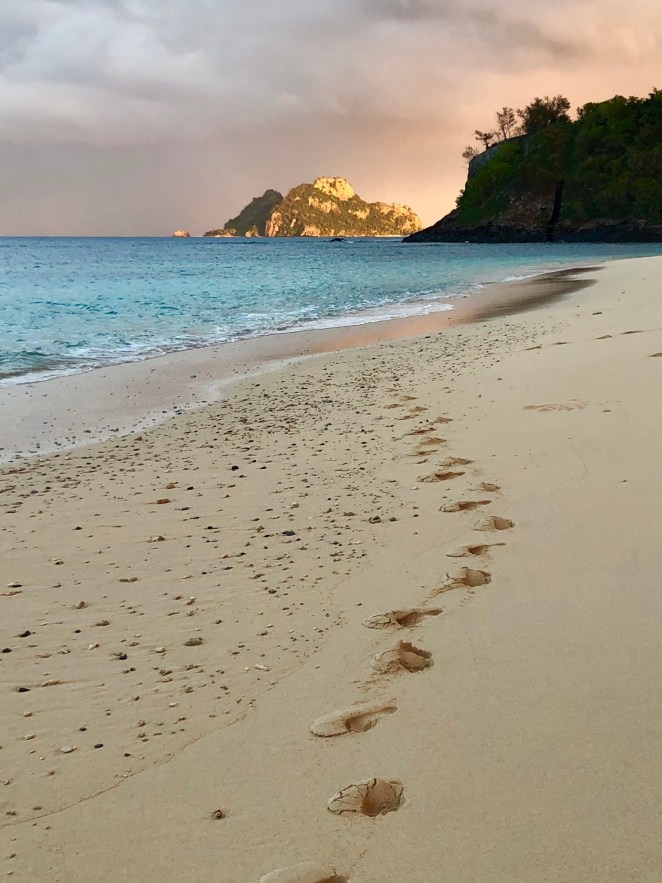 90032AA6-C650-43FB-9F4B-FC483CA46A49