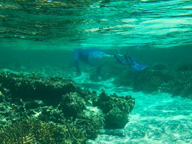 B7F426B8-FEEA-40DE-8173-F3DAAE206C84