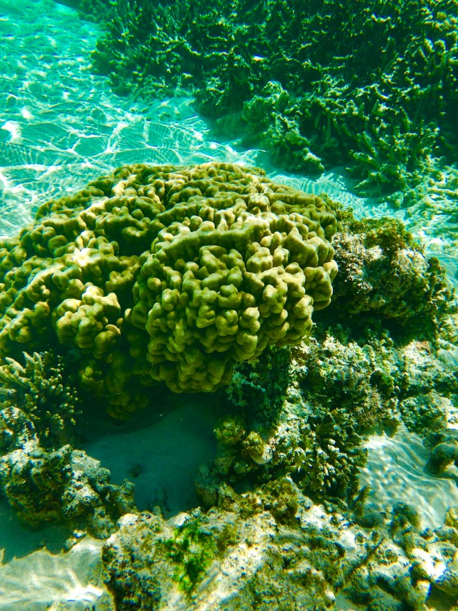 CAEDE6FC-2283-4143-99B3-AC49EFCB8075