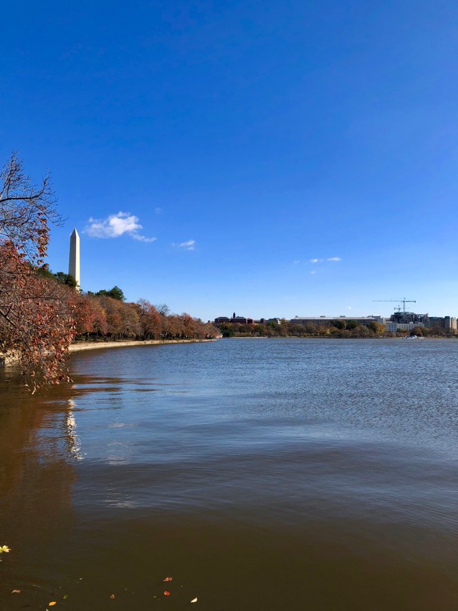 D0B3B7E8-BD9F-49D1-9FB6-9614093053F3