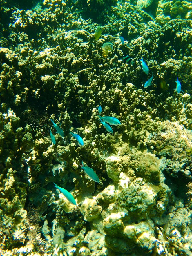 D97F2359-7AC1-4A4B-961B-DC2E66D841DD