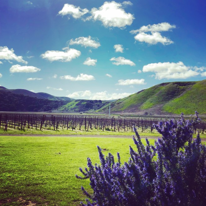 407EB02E-2875-4016-A60D-9A1DB84AF12D