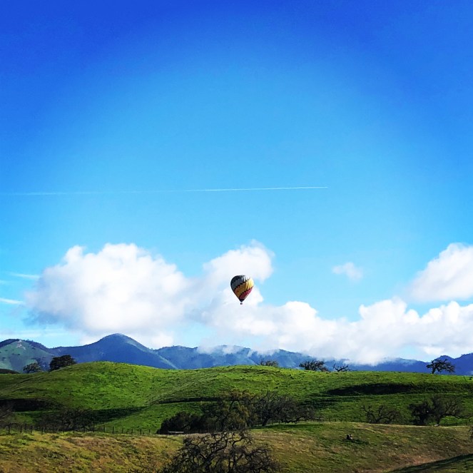 4476D876-B0A1-413D-AC60-AAF7E2949E95