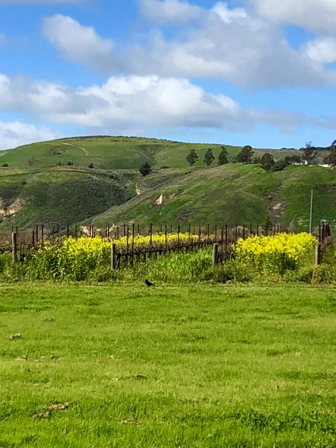 68F6D10F-1E07-4D59-AE6E-D1EB5751F632