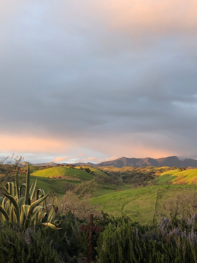 8362CC98-1E53-43B9-A230-D273D38AF3D0